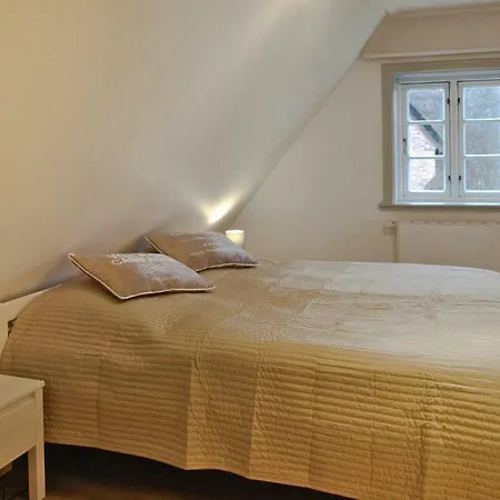 Ferienhaus Holiday - Dns09029-f Husum (Schleswig-Holstein)